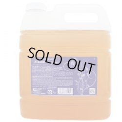 画像1: ハホニコ キラメラメ メンテケアシャンプー 4000ml