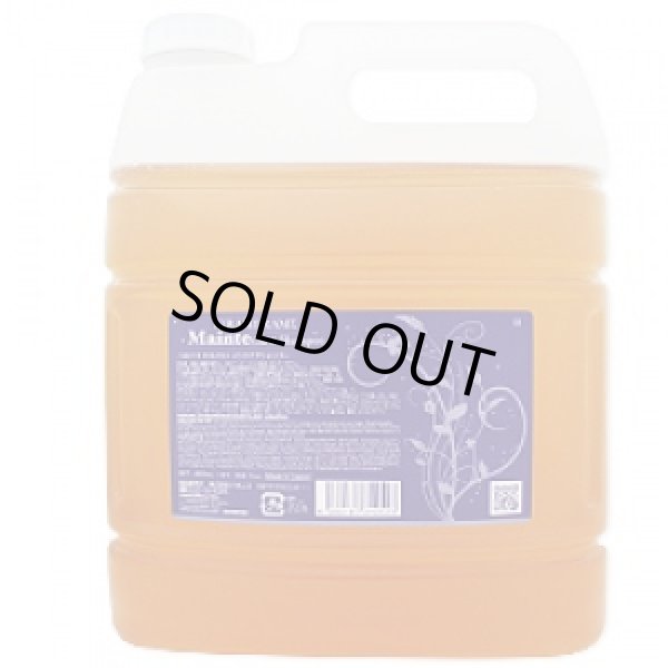 画像1: ハホニコ キラメラメ メンテケアシャンプー 4000ml