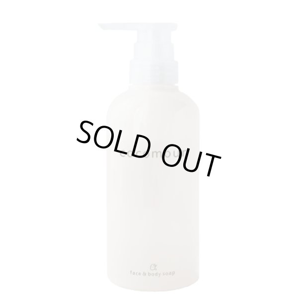 画像1: リトルサイエンティスト ココムール ウォッシュ 400ml