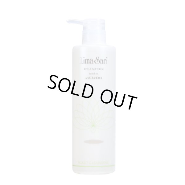 画像1: リトルサイエンティスト スキャルプクレンジング リマサリ 500ml