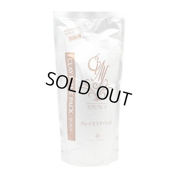 画像1: ビューティーエクスペリエンス クレイエステ パック 500g