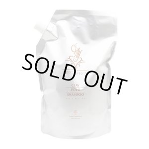 画像: ビューティーエクスペリエンス クレイエステ シャンプー 800ml