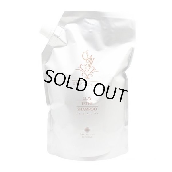 画像1: ビューティーエクスペリエンス クレイエステ シャンプー 800ml