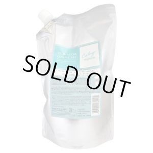 画像: ホーユー プロマスターカラーケア カーミー シャンプー 1000ml